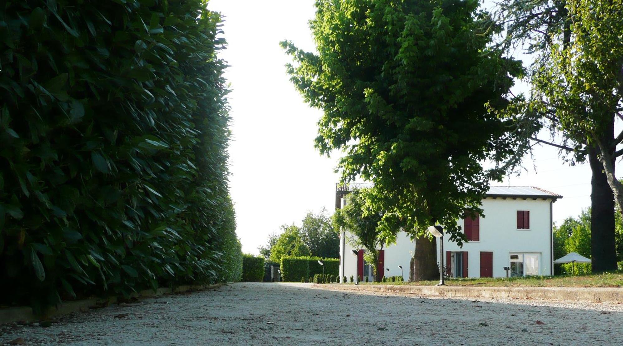 Agriturismo Campoverde Camponogara Exterior photo